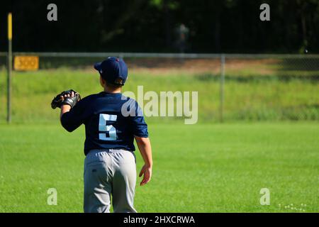 Apprécier le baseball des jeunes Banque D'Images