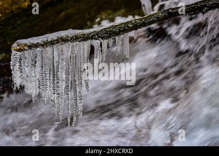 Branche avec des glaçons sur un torrent dans l'Allgäu occidental, Bavière, Bade-Wurtemberg, Allemagne, Europe Banque D'Images