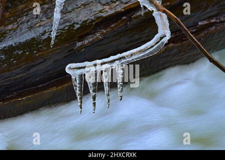 Branche avec des glaçons sur un torrent dans l'Allgäu occidental, Bavière, Bade-Wurtemberg, Allemagne, Europe Banque D'Images