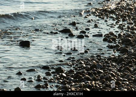 Lac de constance, rivage, automne, plage, vagues, rivage de gravier Banque D'Images