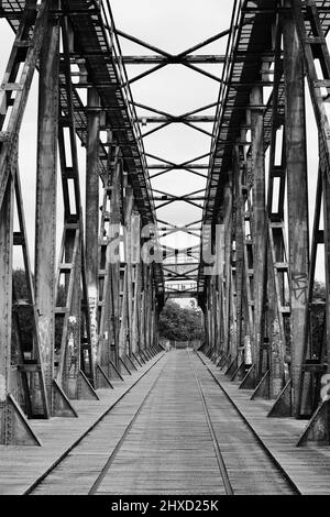 Pont élévateur, ancien pont ferroviaire au-dessus de l'Elbe, Magdebourg, Saxe-Anhalt, Allemagne Banque D'Images