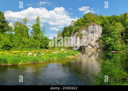 Amalienfelsen, Parc Fürstlicher Inzighofen, Parc naturel du Haut-Danube, Alb souabe, Bade-Wurtemberg, Allemagne Banque D'Images