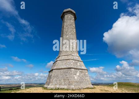 Angleterre, Dorset, le monument Thomas Hardy près de Portesham Banque D'Images