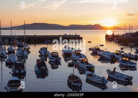 Angleterre, Dorset, Lyme Regis, le port à Sunrise Banque D'Images