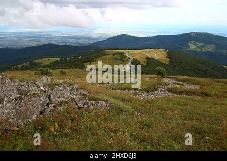 Avec la plaine d'Alsace en arrière-plan, la route menant au radar du Grand ballon serpente à travers la végétation (massif des Vosges, Haut Rhin, France) Banque D'Images