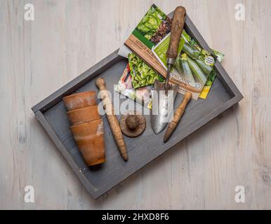 Plateau en bois avec truelle, paquets de graines et pots de plantes Banque D'Images