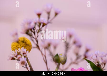 Fleurs, bouquet, encore la vie Banque D'Images