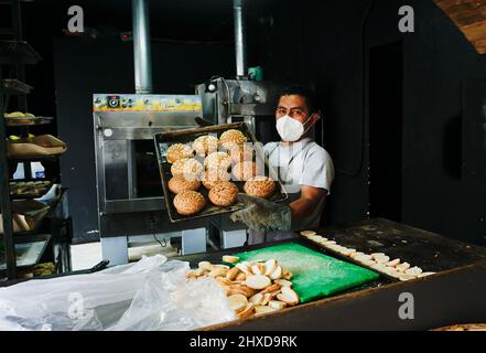 Femme maison artisanale de pain, l'Artisa, dans la région de la Condesa, Mexico, Mexique Banque D'Images