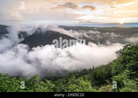 Europe, Suisse, canton du Jura, roches de Moron, mer de brouillard au-dessus de la Saut du du Banque D'Images