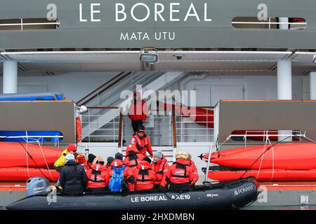 Les passagers du bateau de croisière Ponant le Boreal retournent au navire après avoir visité la colonie de pingouins de Gentoo sur l'île de Cuverville, en Antarctique. Banque D'Images