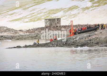 Passagers du bateau de croisière le Boreal à la rampe d'accès pour la gare Gabriel González Videla, dans la péninsule antarctique. Banque D'Images