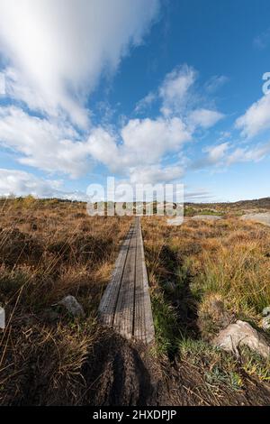 Promenade étroite sur une tourbière à l'automne Banque D'Images