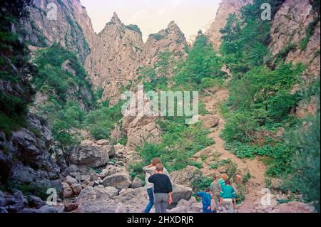 Groupe de jeunes randonnée dans la vallée du Val Scura, 08 août 1988, Trentin, Italie Banque D'Images