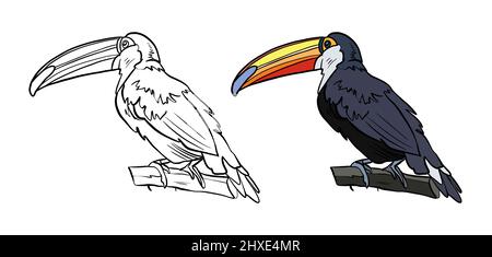 Illustration d'un livre de coloriage en couleur et en noir et blanc. Dessin d'un oiseau toucan sur un fond blanc isolé. Illustration de haute qualité Banque D'Images