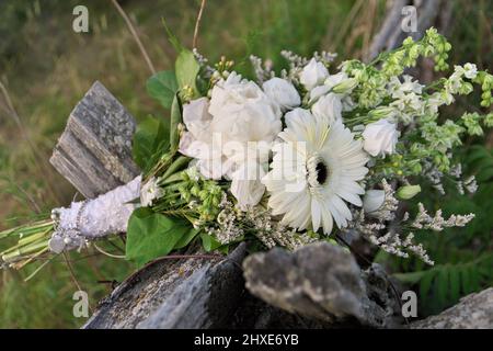 Bouquet de fleurs blanches assorties, dont Gerber Daisies, Roses, pivoines sur Fence à rail fendu Banque D'Images