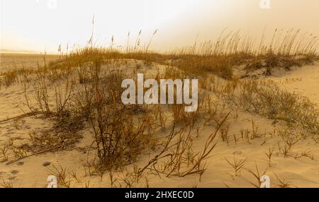 Foggy Morning Sky et Sand Dunes de Kiawah Beach, Kiawah Island, Caroline du Sud, États-Unis Banque D'Images