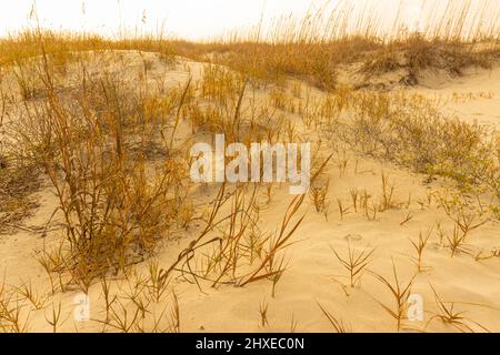 Foggy Morning Sky et Sand Dunes de Kiawah Beach, Kiawah Island, Caroline du Sud, États-Unis Banque D'Images