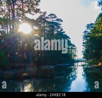 Matin brumeux et pont au-dessus de la rivière Kiawah, île de Kiawah, Caroline du Sud, États-Unis Banque D'Images