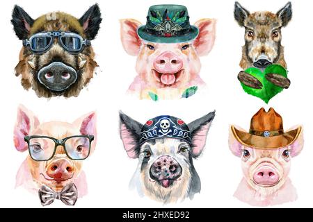 Illustration aquarelle de cochons en verres, chapeau, bandana, chapeau de cowboy et coeur vert Banque D'Images
