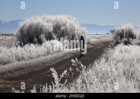 Vallée de San Luis dans le sud du Colorado Banque D'Images