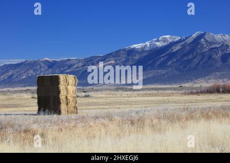 Vallée de San Luis dans le sud du Colorado Banque D'Images