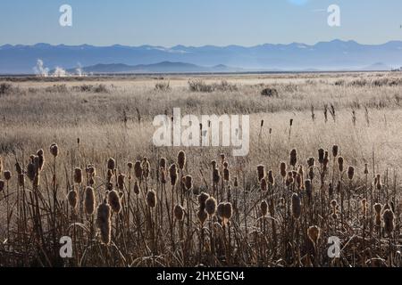 Vallée de San Luis dans le sud du Colorado Banque D'Images