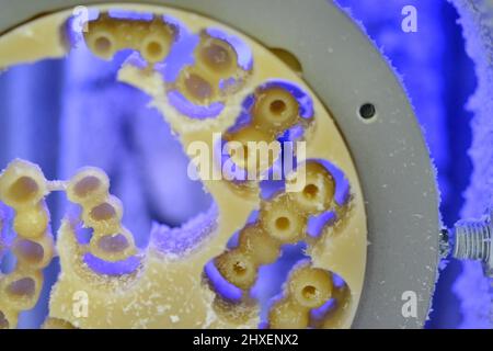 Fraiseuse dentaire en sculptant la forme de dents humaines Banque D'Images