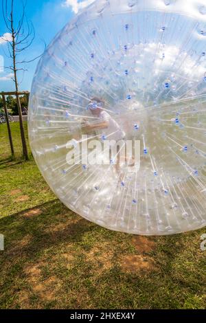 Les enfants ont beaucoup de plaisir dans la balle "zorbing" Banque D'Images