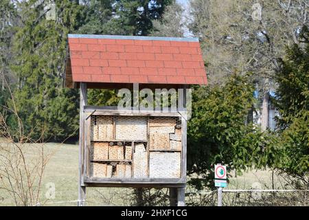 Vienne, Autriche. 06 mars 2022. Le Lainzer Tiergarten à Vienne. Insecte hôtel dans le Lainzer Tiergarten Banque D'Images