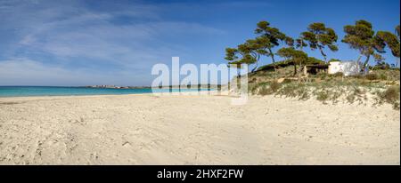 Plage es Carbo, Plage de sable vierge , Ses Salines, Majorque, Iles Baléares, Espagne. Banque D'Images