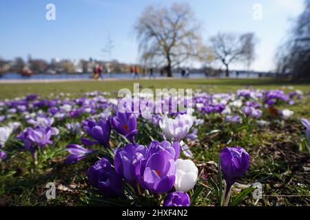 Hambourg, Allemagne. 12th mars 2022. Les passants profitent du soleil à l'Außenalster. Credit: Marcus Brandt/dpa/Alay Live News Banque D'Images