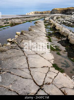 Côte jurassique Somerset à la plage de Kilve en direction de Lilstock à marée basse - Somerset Royaume-Uni Banque D'Images