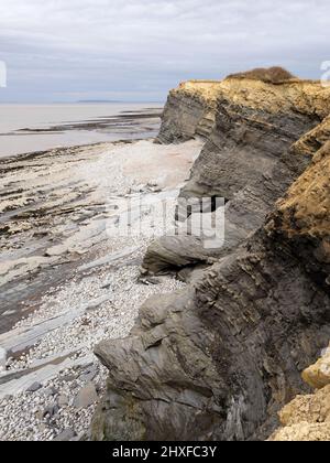 Côte jurassique Somerset à la plage de Kilve en direction de Lilstock à marée basse - Somerset Royaume-Uni Banque D'Images