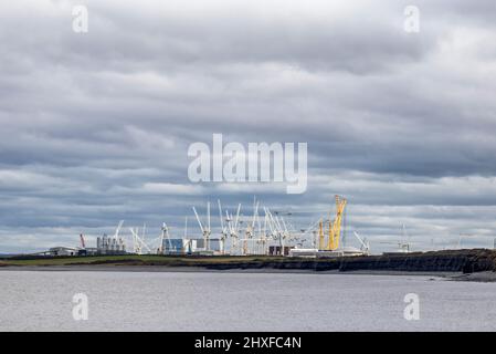 Forêt de grues à tour sur le site Hinkley point HPC construisant la dernière centrale nucléaire de Grande-Bretagne sur la côte Somerset du Royaume-Uni Banque D'Images