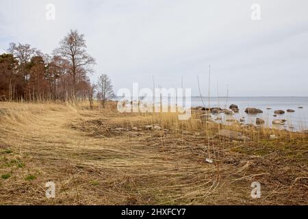 Île de Kilpisaari, dans le parc national du golfe de Finlande, Finlande. Banque D'Images