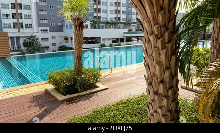 jardin des arbres de plam près de la piscine, piscine d'eau propre dans la copropriété vue sur le toit, jardin dans l'hôtel et piscine Banque D'Images