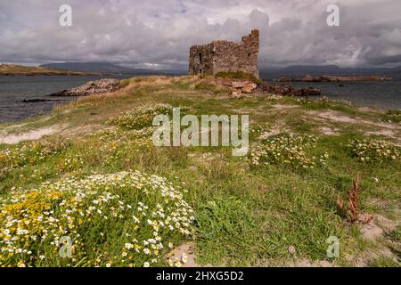 Château de Balliskellig sur la côte Atlantique du comté de Kerry, Irlande Banque D'Images