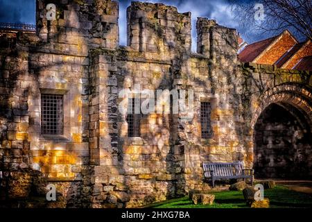 York Library, Museum Gardens, York, Royaume-Uni Banque D'Images