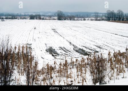 Panorama d'hiver de la vallée de la rivière Jadar dans l'ouest de la Serbie près de la ville de Loznica. Banque D'Images