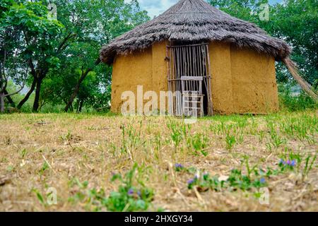 Vue à angle bas sur le bambou de la jungle, une chaise en bois devant le bambou et bungalow fait maison. Banque D'Images