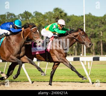 Oldsmar, Floride, États-Unis. 12th mars 2022. 12 mars 2022 : le Scalding #8, monté par le jockey Javier Castellano, remporte les enjeux Challenger (Grade 3) à l'occasion de la Journée du Derby de Tampa Bay à Tampa Bay Downs à Oldster, F.L. le 12 mars 2022. Carson Dennis/Eclipse Sportswire/CSM/Alamy Live News Banque D'Images