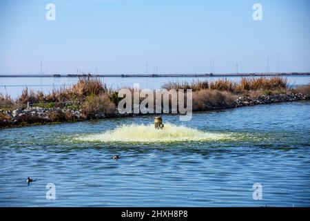 Pompe de travail aérant et filtrant l'eau contaminée dans le bassin de l'installation de traitement des eaux usées pour éliminer les polluants et les gaz dissous. Le barrage se sépare o Banque D'Images