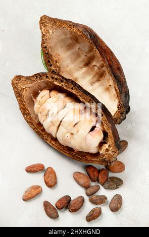 Gousse de cacao frais coupée exposant les graines de cacao sur fond blanc, vue du dessus. Banque D'Images