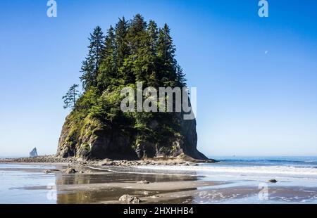 Pinacles de rochers et île côtière en mer dans la réserve marine nationale olympique et la bande côtière du parc national olympique, Washington, États-Unis. Banque D'Images