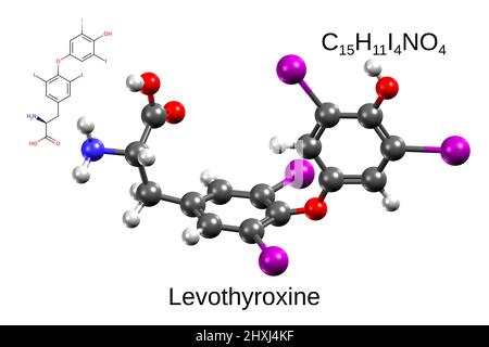 Formule chimique, formule squelettique et modèle bille-bâton 3D de l'hormone thyroïdienne humaine, lévothyroxine, fond blanc Banque D'Images