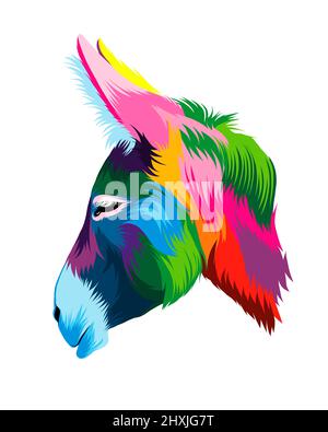 Résumé Portrait de tête d'âne à partir de peintures multicolores. Mise en plan colorée. Illustration vectorielle des peintures Illustration de Vecteur