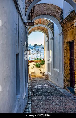 Rue pavée de Vejer avec village en arrière-plan et mur andalou typique avec fleurs et plantes. Banque D'Images