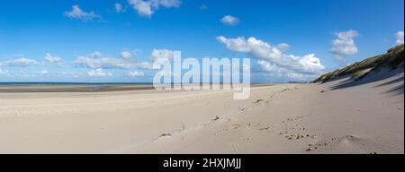 Chiot la première fois sur la plage de fort-Mahon-Plage, France, Europe Banque D'Images