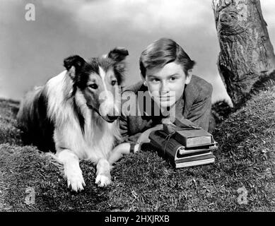 RODDY MCDOWALL à LASSIE COME HOME (1943), réalisé par FRED M. WILCOX. Crédit: M.G.M. / Album Banque D'Images