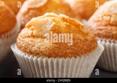 Macro magdalenas avec du sucre et du citron les muffins typiques de la plaine espagnole dans l'assiette. Horizontale Banque D'Images